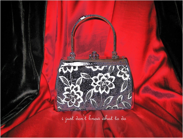 the right baggage to complement my bathrobe?