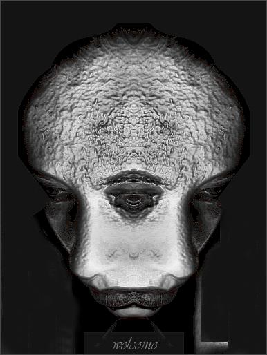 perception