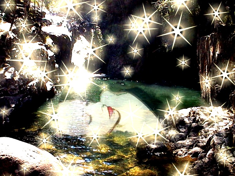dreams