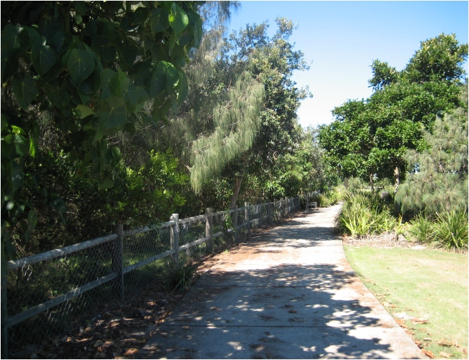 bike path, casuarina