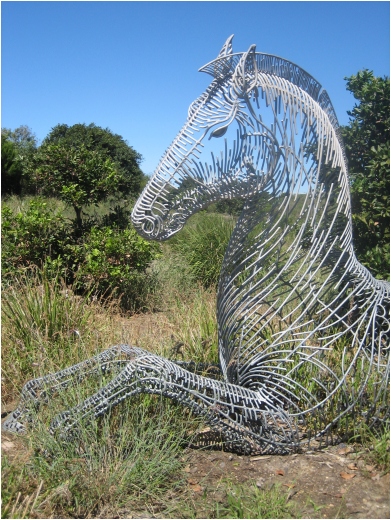 equus aqua by andy scott, casuarina