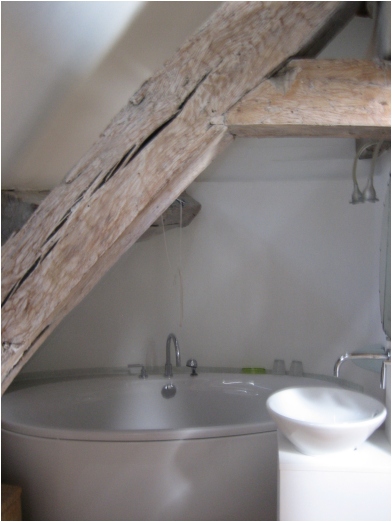 attic apartment, paris