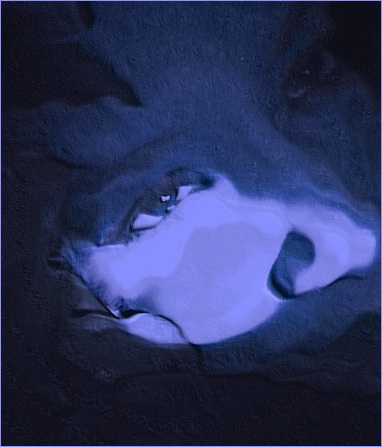 tleilaxu face dancer