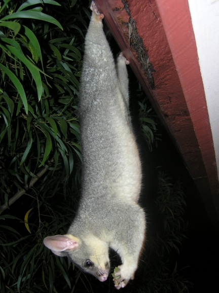 april 2005 - thanks to gk for these two photos