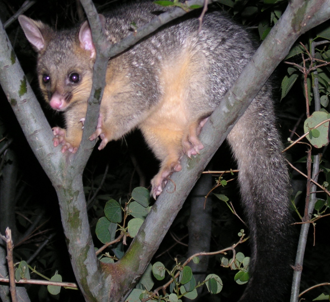 queek on his own - october 2006